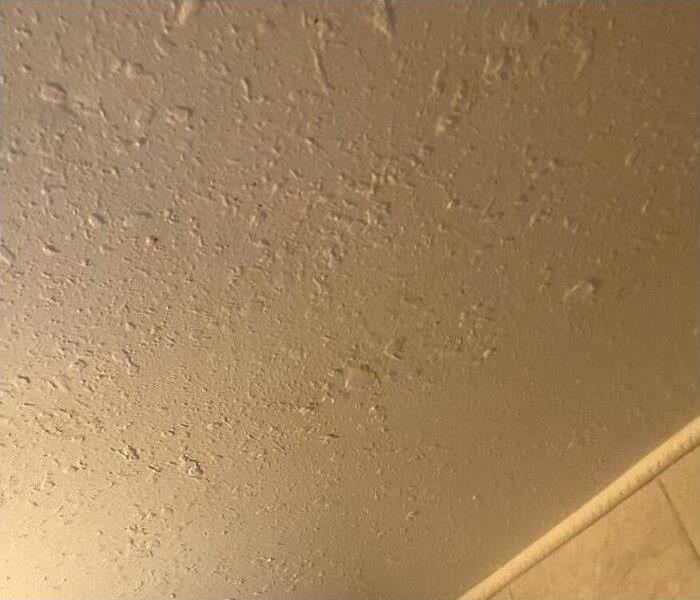 Ceiling without mold growth