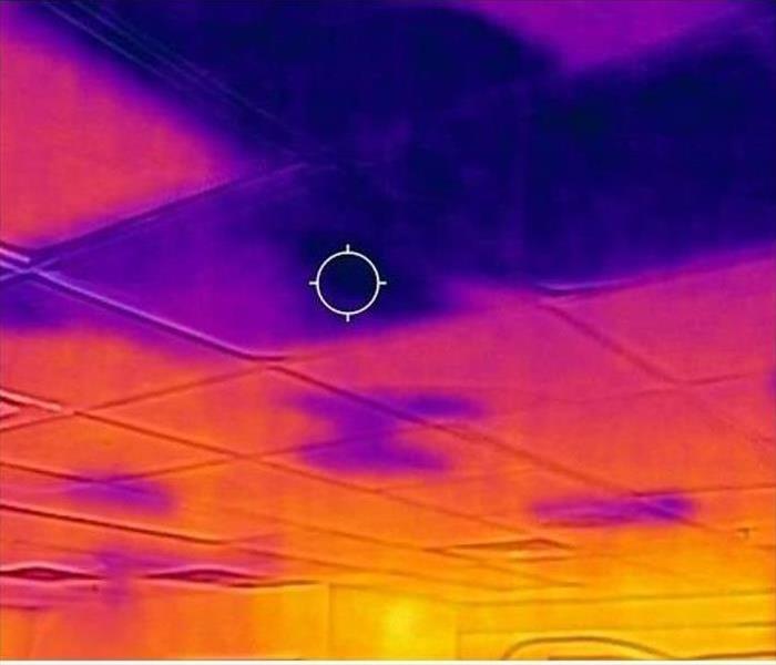 Colorful infrared imaging of a ceiling with water damage