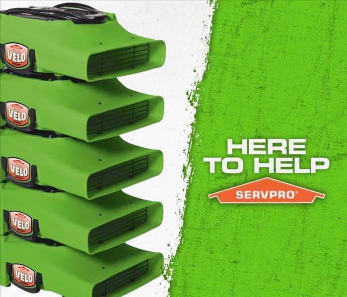 Green Velo fans with SERVPRO logo
